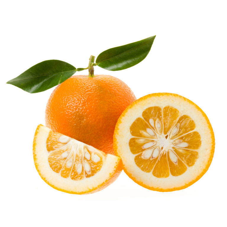 Oranges seville OUT OF SEASON Weston Fruit Sales